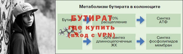 мдпв Бородино